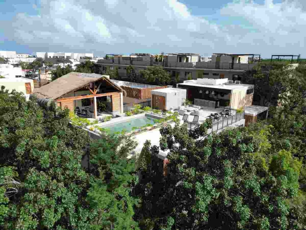 The Remarkable Rise of Eco-Chic Homes Amid Climate Fears - Sustainable and Locally Sourced Materials