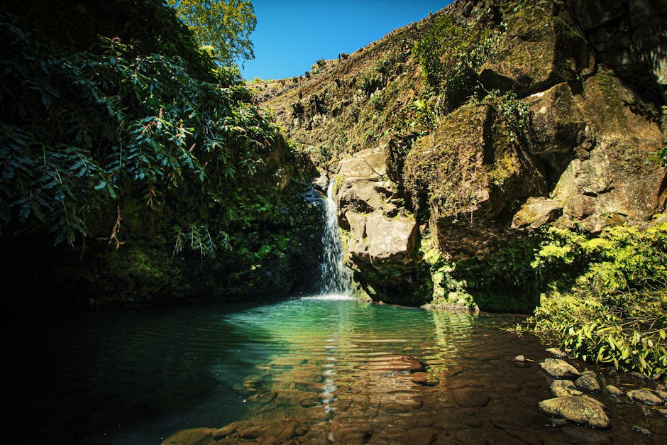 Hidden Gems: Properties You Must See